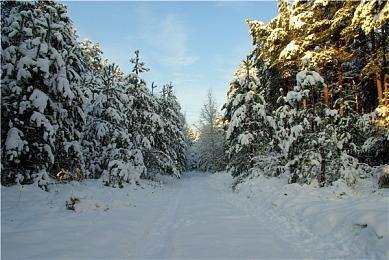 《我的可爱皇后》发售日预告 8月21日发售