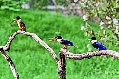 《泰拉瑞亚》Steam售价迎来永涨 国区涨至42元