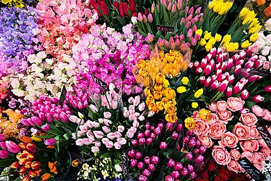 育碧宣布新作《刺客信条 Nexus VR》 专为VR打造